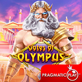 Cổng Olympus LL99